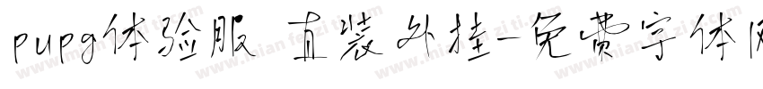pupg体验服 直装外挂字体转换